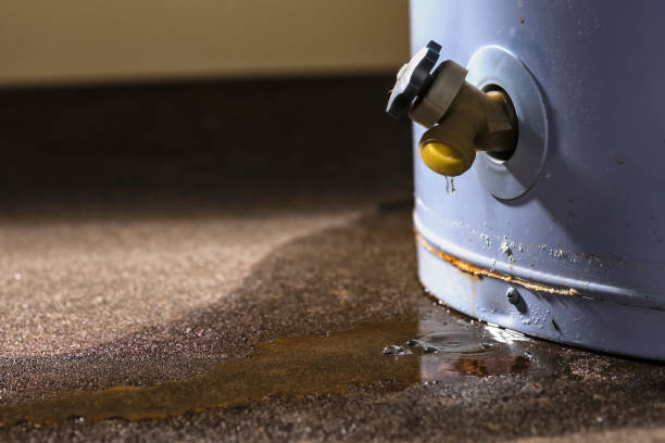 Best Professional water damage repair  in Raymond, MS