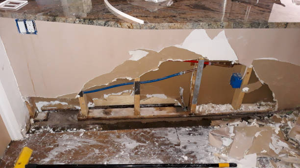 Best Water damage restoration mold remediation  in Raymond, MS