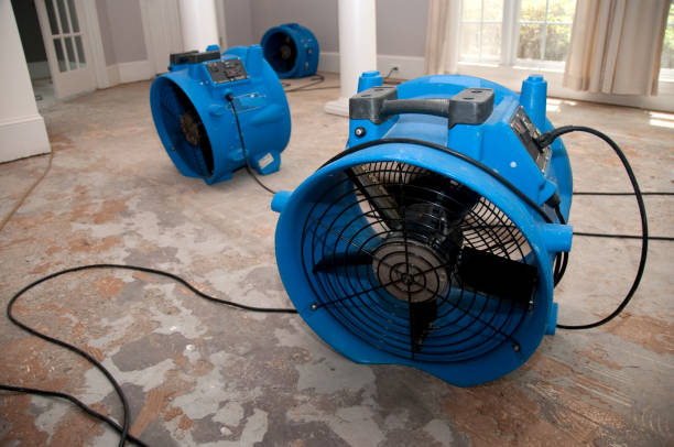 Best Ceiling water damage repair  in Raymond, MS