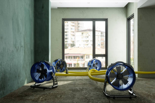 Best Sewage cleanup and water damage restoration  in Raymond, MS